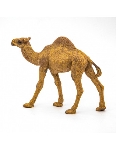 Papo Figurina Dromader,Papo50151