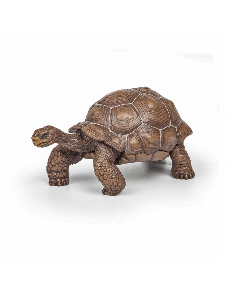 Papo Figurina Testoasa Galapagos,Papo50161