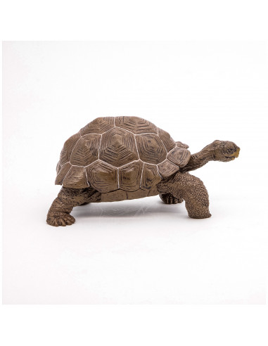 Papo Figurina Testoasa Galapagos,Papo50161
