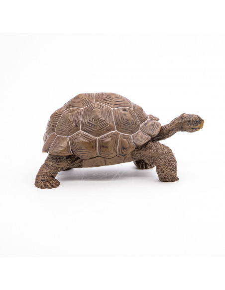Papo Figurina Testoasa Galapagos,Papo50161