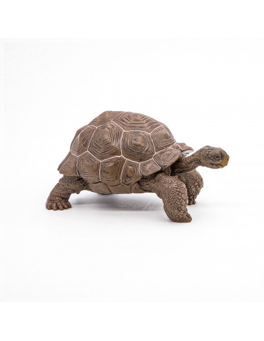 Papo Figurina Testoasa Galapagos,Papo50161