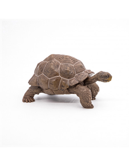 Papo Figurina Testoasa Galapagos,Papo50161