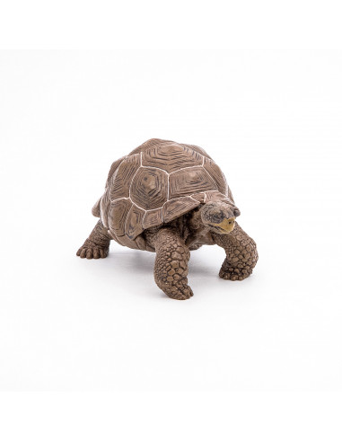 Papo Figurina Testoasa Galapagos,Papo50161