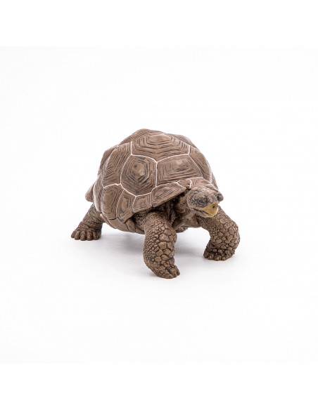 Papo Figurina Testoasa Galapagos,Papo50161