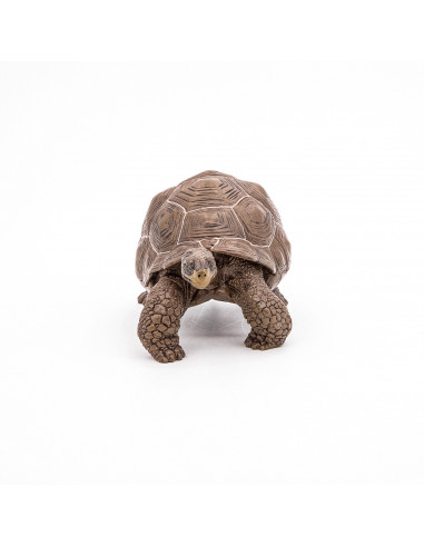 Papo Figurina Testoasa Galapagos,Papo50161