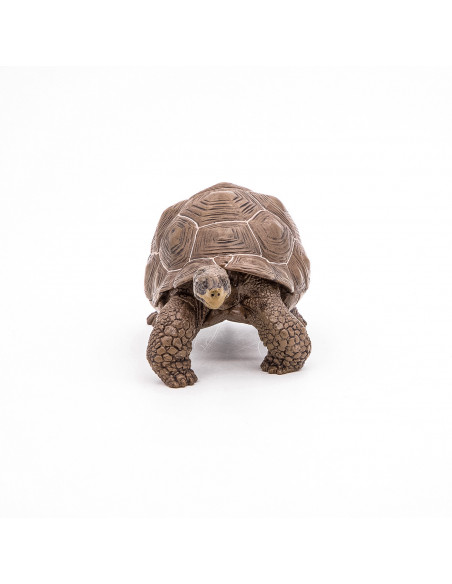 Papo Figurina Testoasa Galapagos,Papo50161
