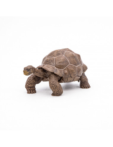 Papo Figurina Testoasa Galapagos,Papo50161