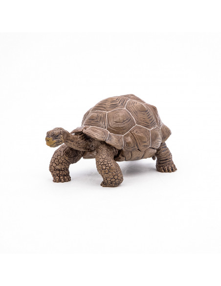 Papo Figurina Testoasa Galapagos,Papo50161