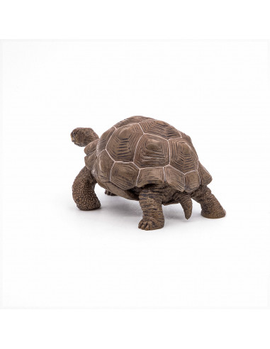 Papo Figurina Testoasa Galapagos,Papo50161