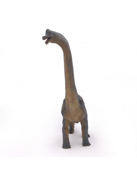 Papo Figurina Dinozaur Brachiosaurus,Papo55030