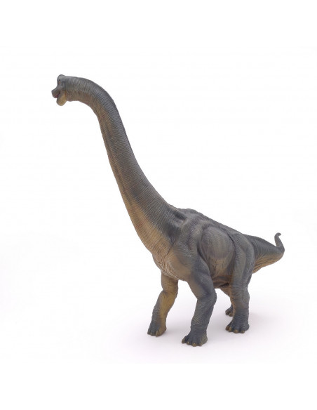 Papo Figurina Dinozaur Brachiosaurus,Papo55030