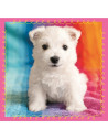 Puzzle Trefl 3in1 Catelusi La Baita,34845