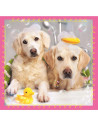 Puzzle Trefl 3in1 Catelusi La Baita,34845