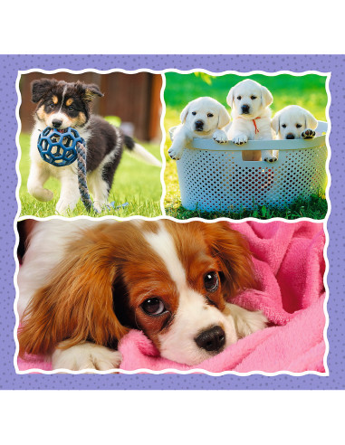 Puzzle Trefl 3in1 Catelusii Adorabili,34854