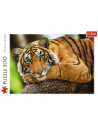 Puzzle Trefl 500 Portretul Tigrului,37397