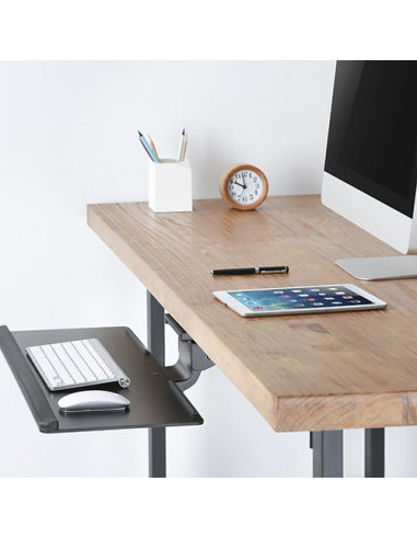 Polita VESA pentru tastatura si mouse, Blackmount