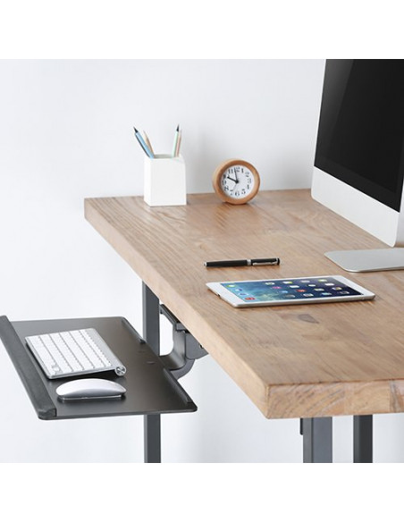 Polita VESA pentru tastatura si mouse, Blackmount