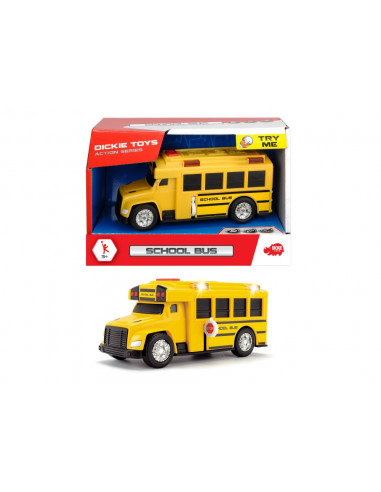 Autobuz Scoala,203302017