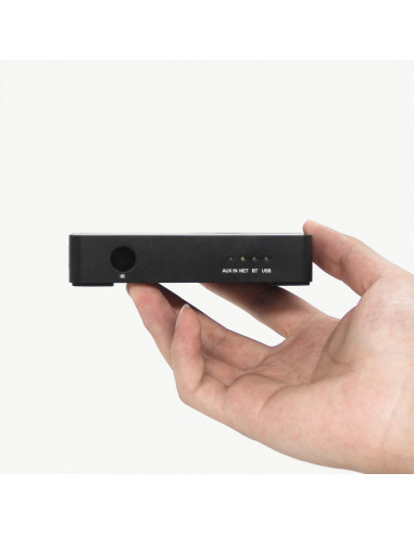 Streamer audio Arylic S10, LAN /Wi-Fi /Bluetooth, 24bit/192kHz