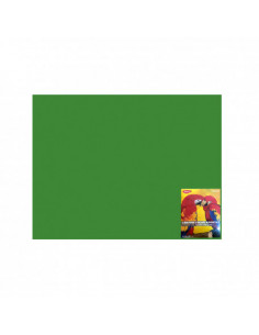 CN240V,Carton Color Daco CN240V, 46 x 64 cm, 240 g/mp, 10 coli, Verde CR