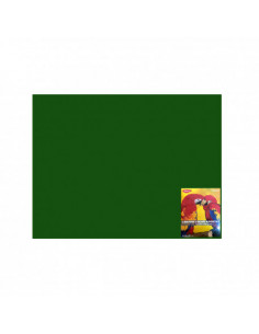 CN240VI,Carton Color Daco CN240VI, 46 x 64 cm, 240 g/mp, 10 coli, Verde I