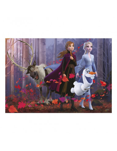 Puzzle - Frozen II (300 piese XL),472211