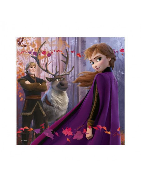 Puzzle 3 in 1 - Frozen II (3 x 55),335332
