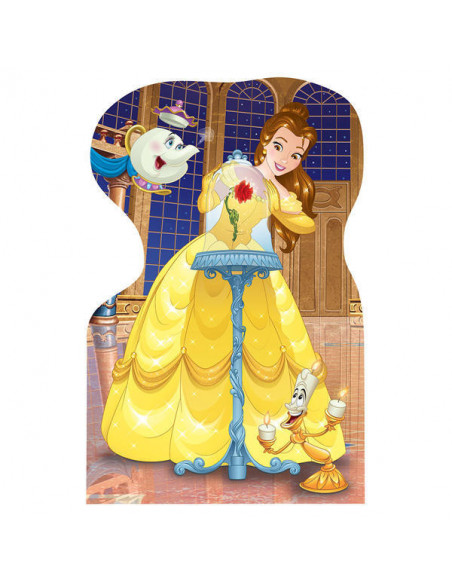 Puzzle 4 in 1 - Printesele si prieteni (54 piese),333185