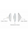Accesorii pompa - Filtru protectie flux invers,ENAC043