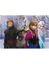 Puzzle de colorat - Frozen si prietenii (108 piese),L49301