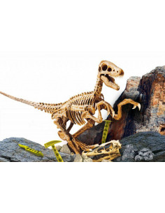 Experimentele micului geniu - Kit paleontologie 2