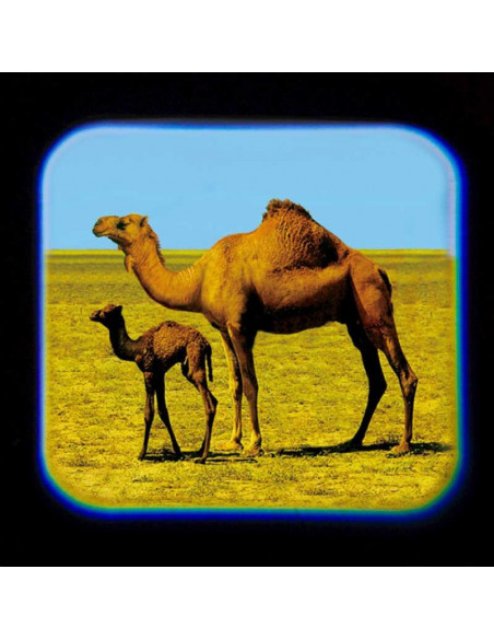 Proiector tip lanterna - Animale,T38248