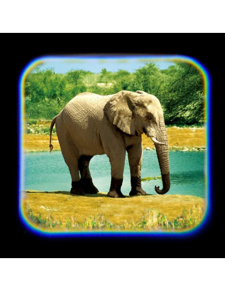 Proiector tip lanterna - Animale,T38248