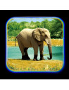Proiector tip lanterna - Animale,T38248