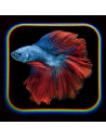 Proiector tip lanterna - Oceanul,T38255