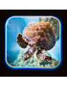 Proiector tip lanterna - Oceanul,T38255