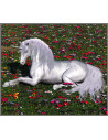 Proiector tip lanterna - Zane si unicorni,E2042