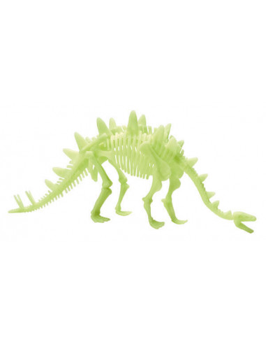 Schelet Stegosaurus reflectorizant,B8805