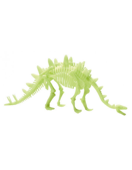 Schelet Stegosaurus reflectorizant,B8805
