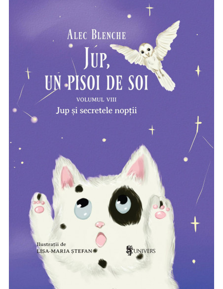 Jup, un pisoi de soi – volumul VIII – Jup si secretele
