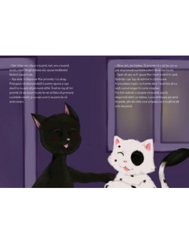 Jup, un pisoi de soi – volumul VIII – Jup si secretele