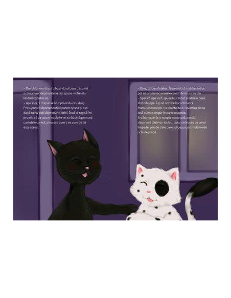 Jup, un pisoi de soi – volumul VIII – Jup si secretele