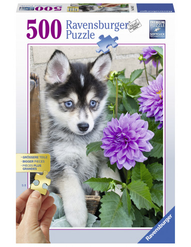 PUZZLE CATEL HUSKY, 500 PIESE,RVSPA13682