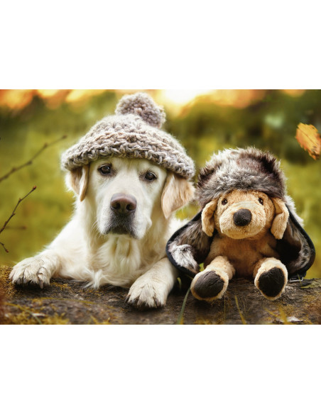 PUZZLE LABRADOR CU PALARIE, 500 PIESE,RVSPA14783