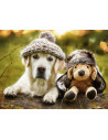 PUZZLE LABRADOR CU PALARIE, 500 PIESE,RVSPA14783