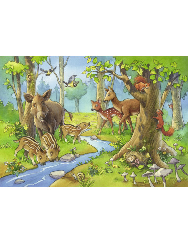 Puzzle Animale Padure, 2X24 Piese,RVSPC09117