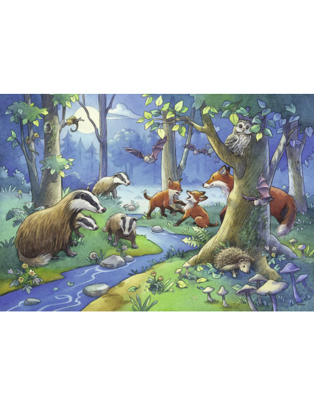 Puzzle Animale Padure, 2X24 Piese,RVSPC09117