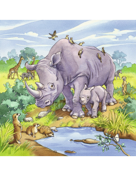 Puzzle Animale, 3X49 Piese,RVSPC08003