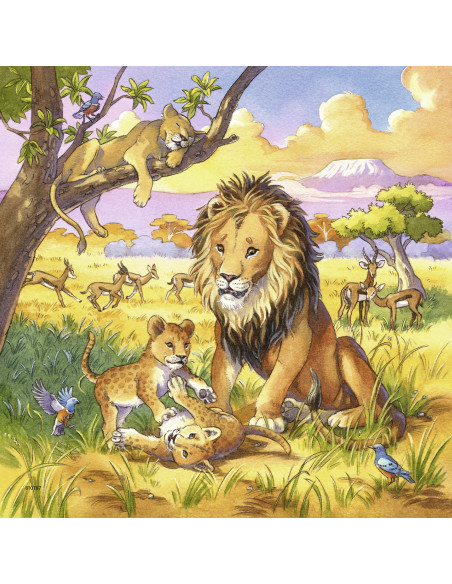 Puzzle Animale, 3X49 Piese,RVSPC08003