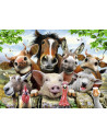 Puzzle Poza Animale, 300 Piese,RVSPC13207